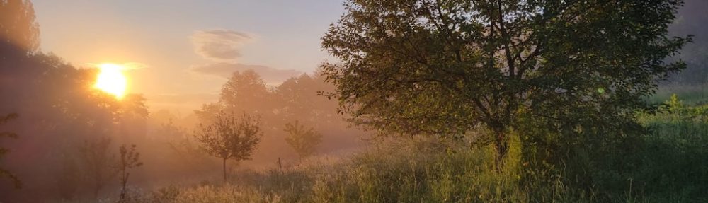 Dingy et ses hameaux, le renouveau